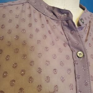 Abercrombie & Fitch Glitter Swiss Dot Blouse